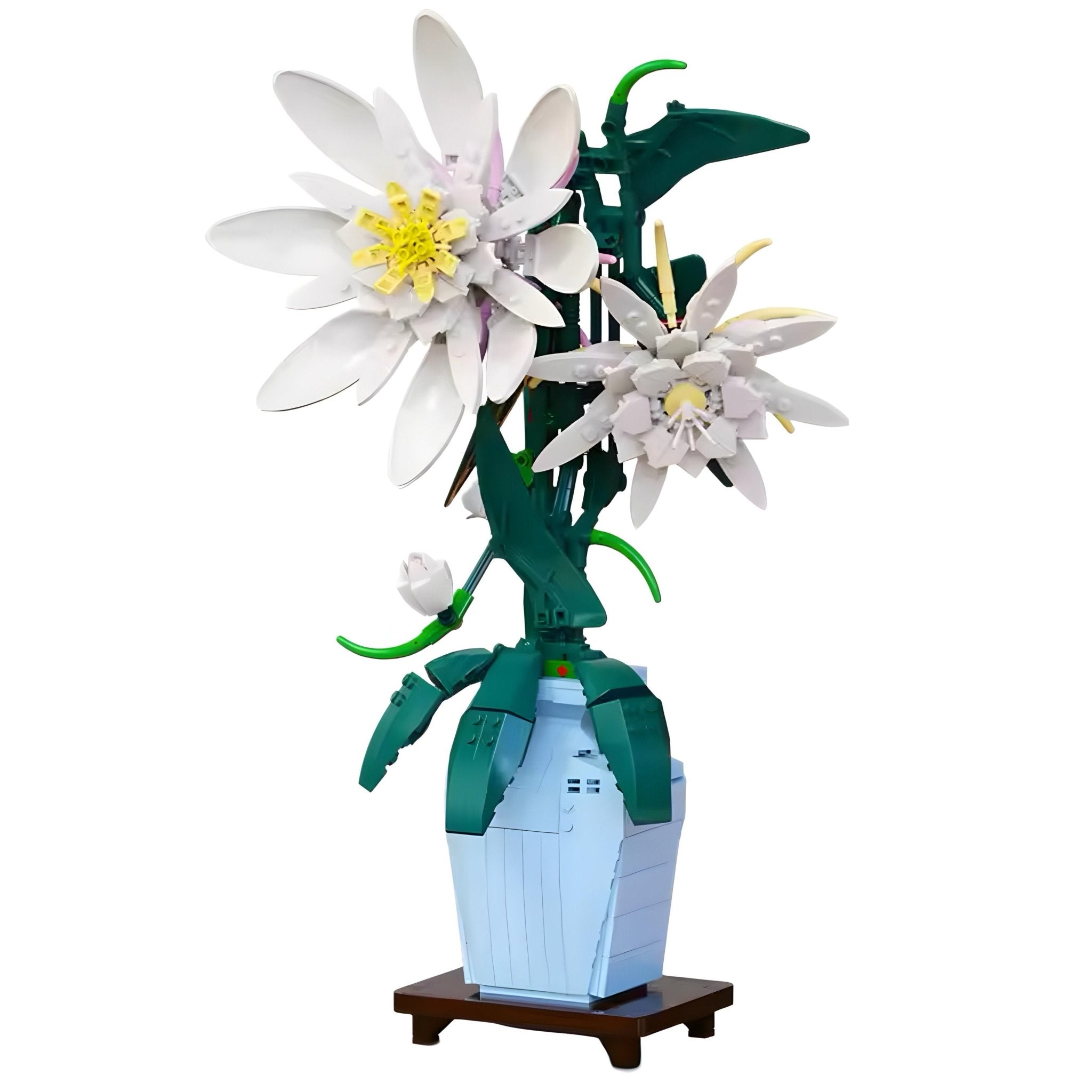 Epiphyllum | 568pcs - My Store