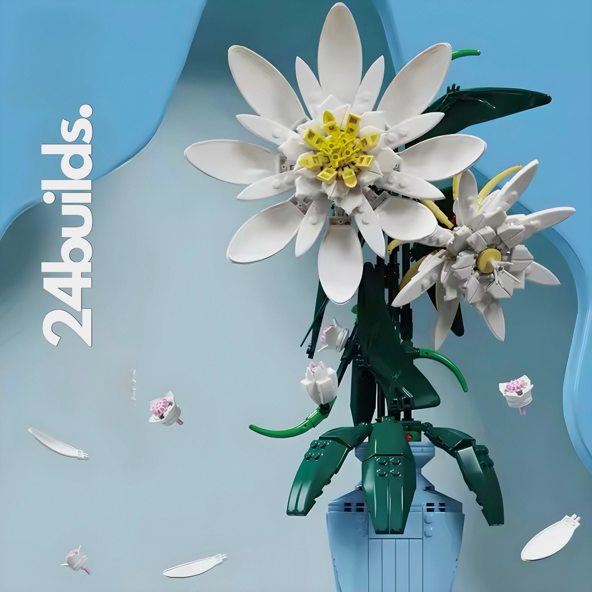 Epiphyllum | 568pcs - My Store